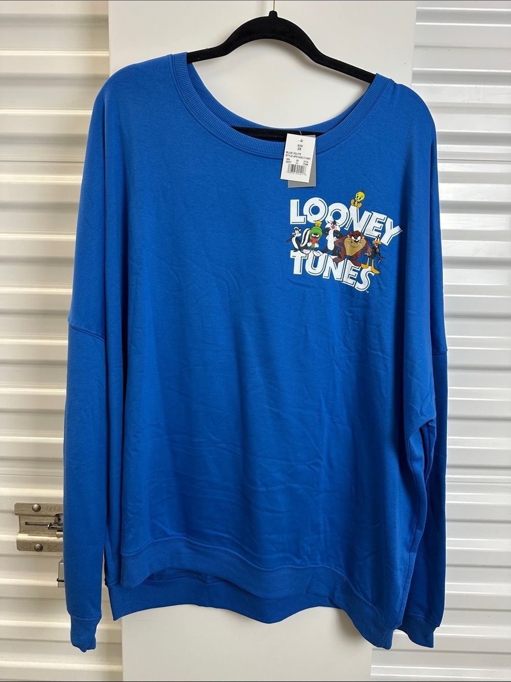 Looney Tunes Blue Graphic Sweatshirt